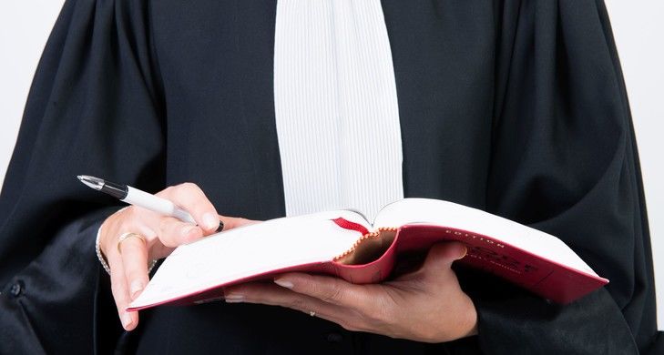 Avocat, qualités et études